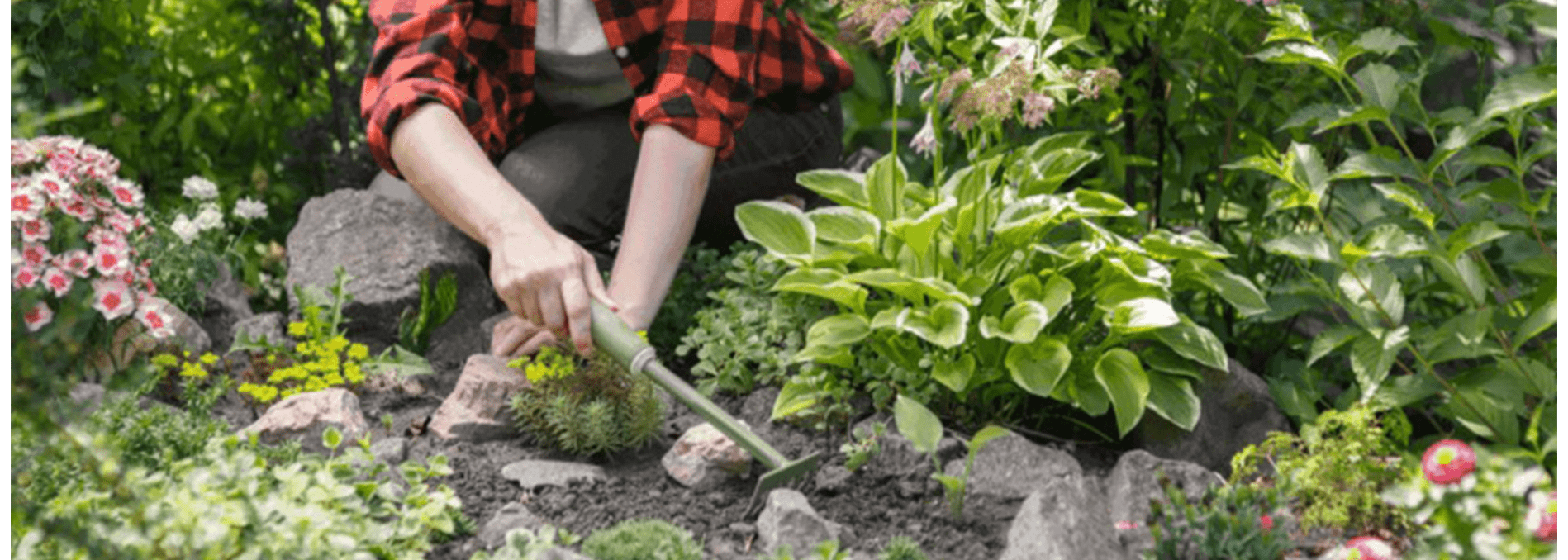 JSL Lawn Care Inc