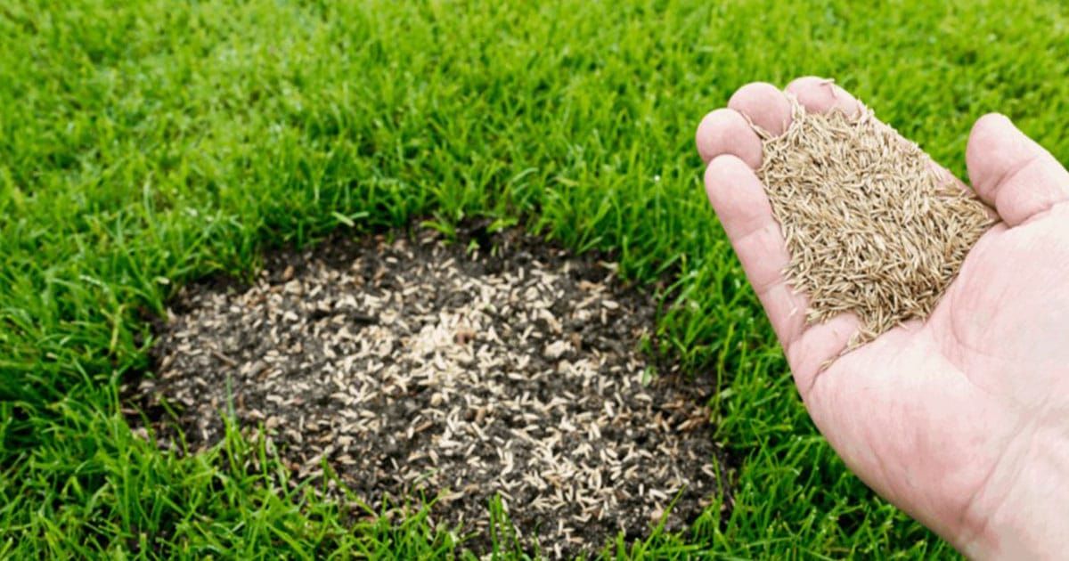 JSL Lawn Care Inc gallery