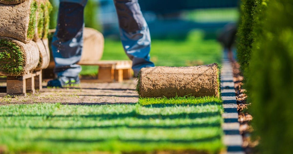 JSL Lawn Care Inc gallery