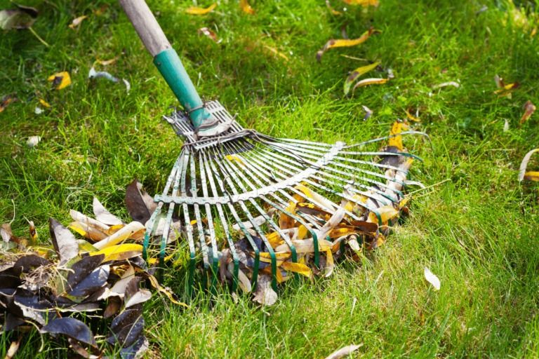 svc3 spring cleanup